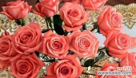 花说心声 解读玫瑰花朵数的含义