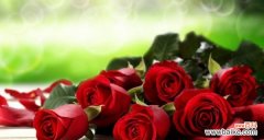 解读玫瑰花数量的隐含意义 玫瑰花的数量与情感的象征