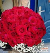 探索玫瑰花数量的象征意义 玫瑰花送多少朵代表什么