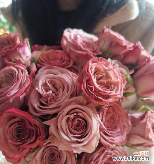 用花的语言传达情感的秘密 玫瑰花语颜色的意义