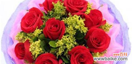 以玫瑰送几朵代表什么意思 玫瑰花的数量与意义