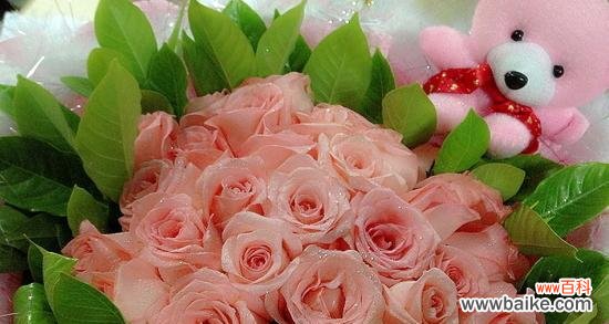 解读玫瑰花的特殊语言 玫瑰数量的含义