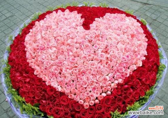 解读玫瑰支数的神秘内涵 玫瑰支数的意义