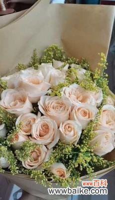 解读玫瑰支数的神秘内涵 玫瑰支数的意义