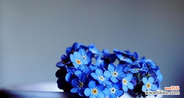 纯洁而无奈的告别之情 离别的爱情