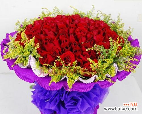 探索七朵玫瑰背后的深刻寓意 七朵玫瑰的象征意义