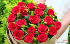 探索七朵玫瑰背后的深刻寓意 七朵玫瑰的象征意义