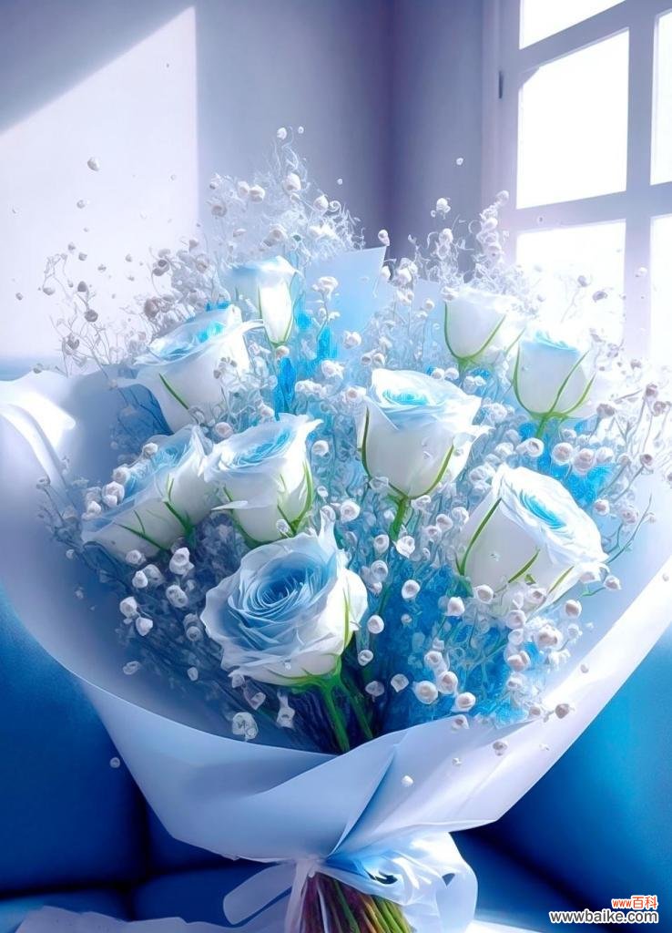 揭示花语之王的魅力与意义 探寻世界上花语最浪漫的花