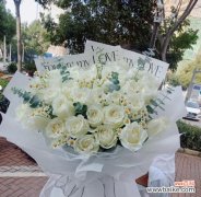 美丽纯洁的白玫瑰 白玫瑰的代表寓意与花语