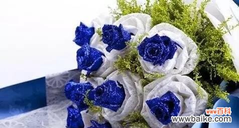 解读蓝色玫瑰的花语与意义 蓝色玫瑰的花语——神秘而浪漫的象征