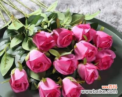 解读十二朵玫瑰花代表的不同寓意 十二朵玫瑰花的花语与含义