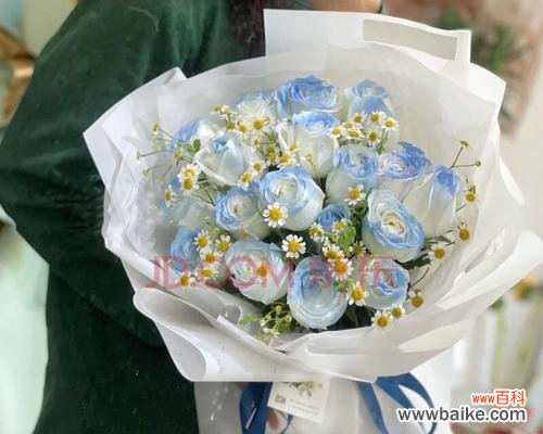 探索碎冰蓝的多重意义和美丽之处 碎冰蓝，十一朵花的象征