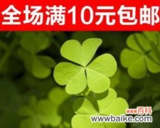 解密四叶草的象征和传说 四叶草的神奇含义