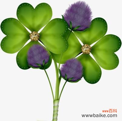 探究四叶草的幸运象征及文化意义 四叶草的寓意与象征意义