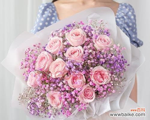 探寻粉色玫瑰背后的情感与情绪 粉色玫瑰的象征意义