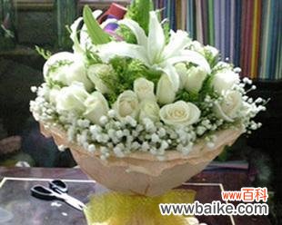 纯洁 白玫瑰的含义与象征