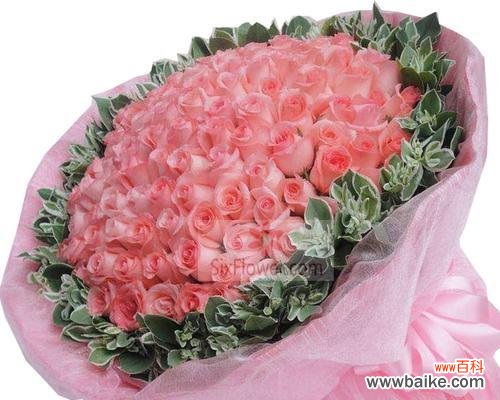 探究粉色玫瑰的象征意义及应用场景 粉色玫瑰的意义与传达的情感