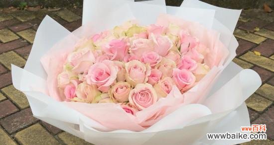 深入解读粉色玫瑰花语 粉色玫瑰的象征意义与传达的情感