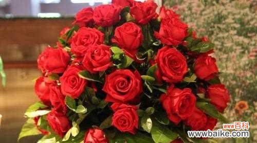 探究不同朵数的花束所代表的意义 鲜花之语