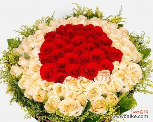 探索红玫瑰的浪漫与热情 红玫瑰的象征意义与文化背景