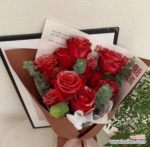 探索玫瑰花的深层含义与传递的感情 玫瑰花的意义与象征