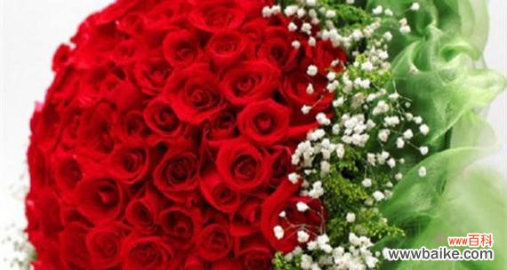 了解不同朵数玫瑰的寓意和传达情感的方式 玫瑰花的数量代表着什么