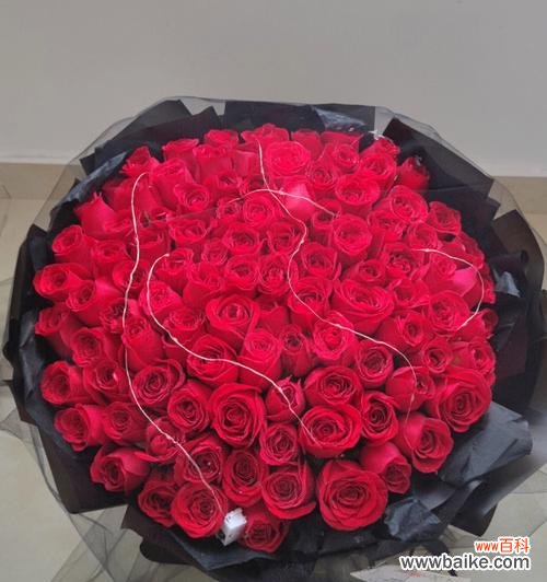 玫瑰花象征爱情 玫瑰花几朵的含义