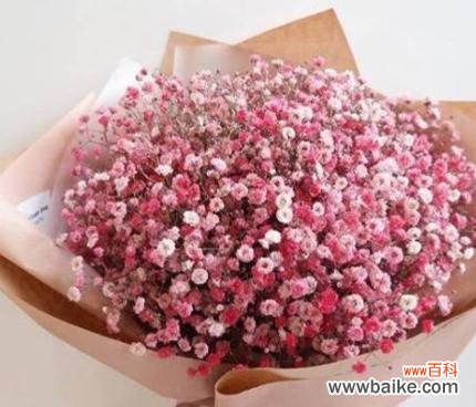 以花语传递真挚情感的不二之选 送男朋友的最佳花卉选择