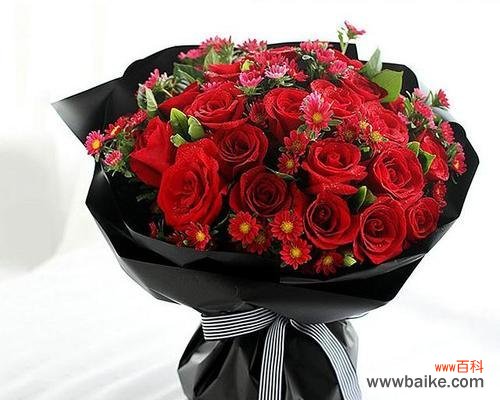 玫瑰花的传情之道与深层寓意 玫瑰花的数量代表的含义