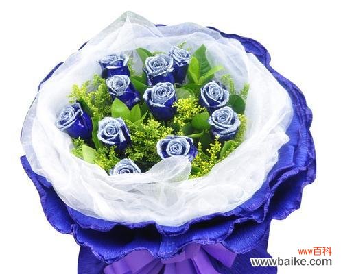 用蓝色妖姬传递爱意 蓝色妖姬