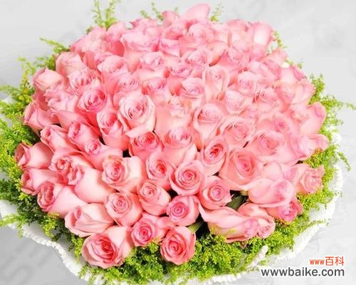 情意绵绵 送女孩子粉玫瑰所代表的意义