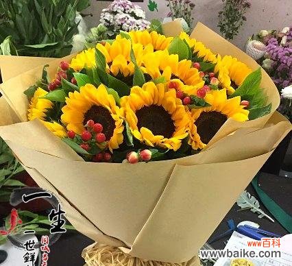 幸福与希望的象征 阳光的象征——送向日葵代表的意义