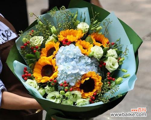 幸福与希望的象征 阳光的象征——送向日葵代表的意义