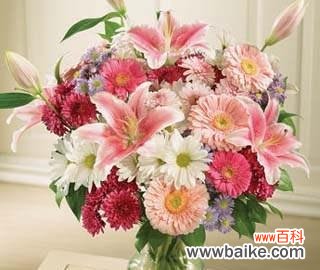 用花言志友谊 用花传递友谊的力量