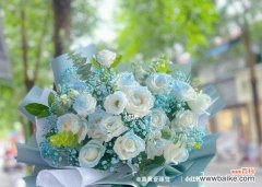 探寻碎冰蓝玫瑰的花语与寓意 碎冰蓝玫瑰