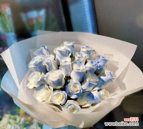 探寻碎冰蓝玫瑰的花语与寓意 碎冰蓝玫瑰