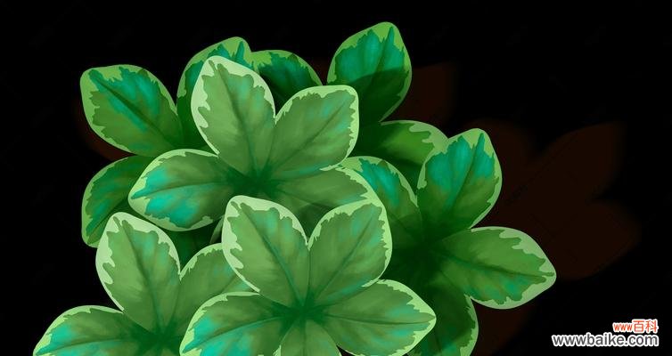 探寻幸运与希望的源泉 五叶草的寓意与象征意义