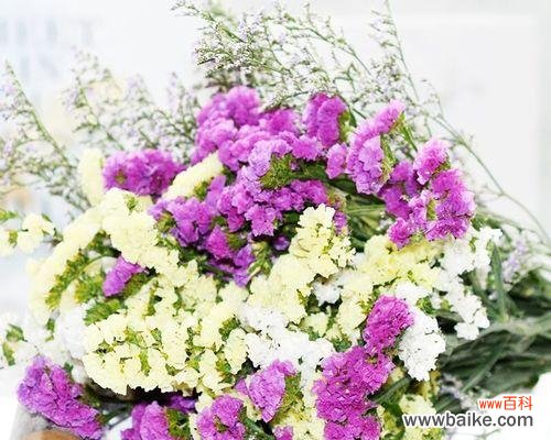 勿忘我是一种追求自我忘却的境界 忘我，勿忘我——解读“以勿忘我”暗示的意义