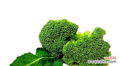 探索西兰花的花语和寓意 西兰花之美