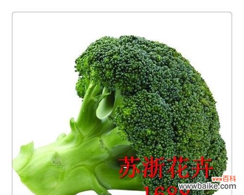 揭示西兰花的美丽象征及内涵 西兰花的花语与寓意