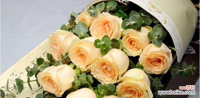 探寻香槟玫瑰的浪漫与内涵 香槟玫瑰