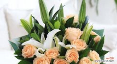 探索香槟玫瑰的花语世界 香槟玫瑰花语的解读及意义