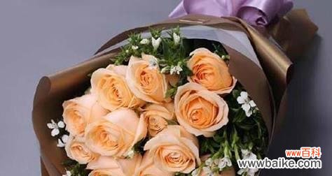 花开香槟 香槟玫瑰