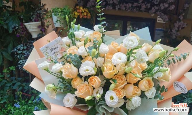 探寻香槟玫瑰花的深层含义 香槟玫瑰花的象征意义