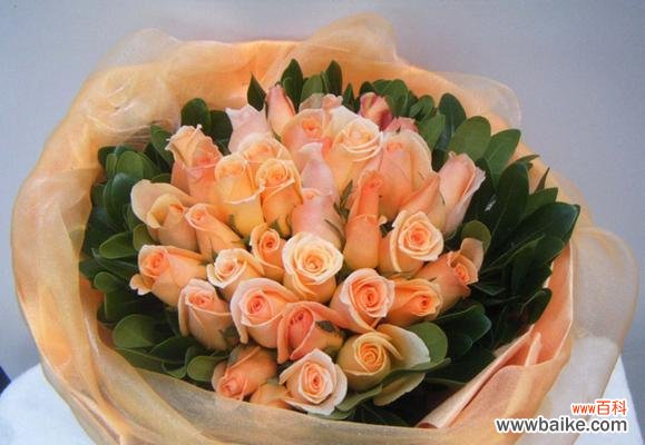 探索香槟玫瑰的浪漫与神秘 香槟玫瑰的寓意与象征