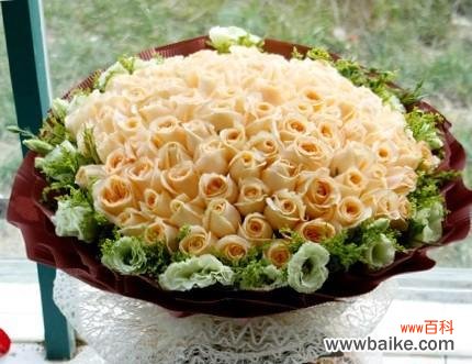 探索香槟玫瑰的浪漫与神秘 香槟玫瑰的寓意与象征