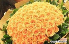 揭示香槟玫瑰的含义和象征 香槟玫瑰