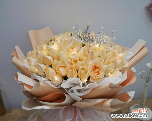 探索香槟玫瑰的美丽与内涵 香槟玫瑰的寓意与象征