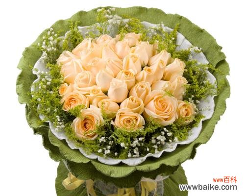 以花朵为媒介传递心意的香槟玫瑰 香槟玫瑰