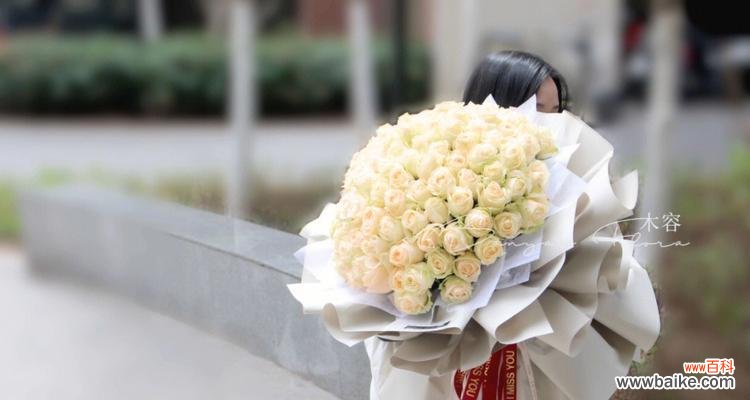 以花朵为媒介传递心意的香槟玫瑰 香槟玫瑰